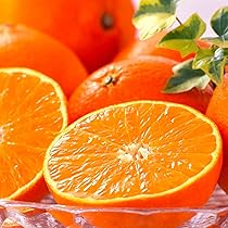 Amazon.co.jp: 紅まどんな 紅マドンナ ギフト お歳暮 みかん 愛媛県産